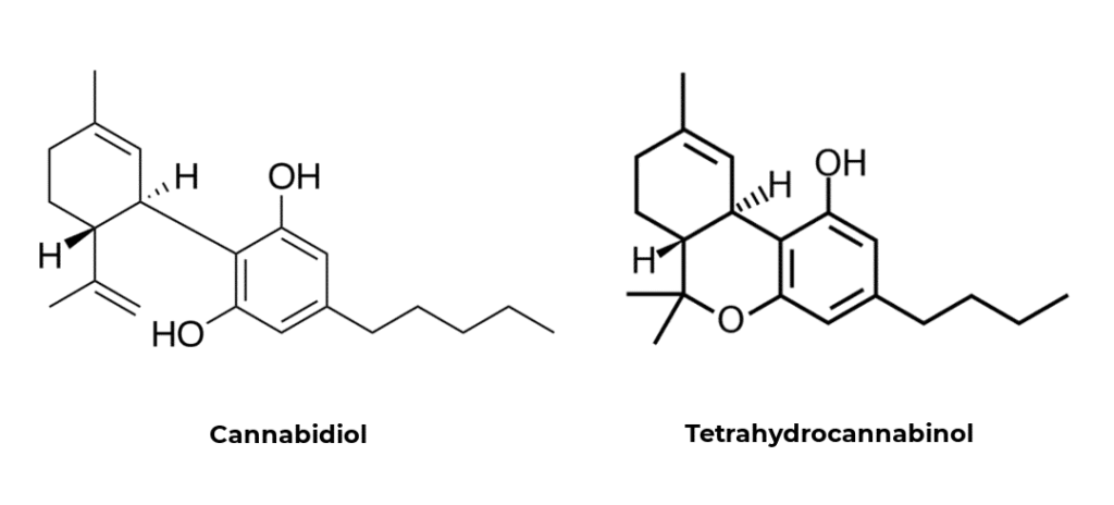 CBDとTHCの構造の化学式